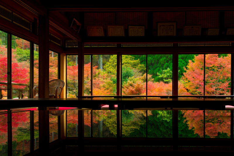 環境芸術の森（唐津市厳木町）